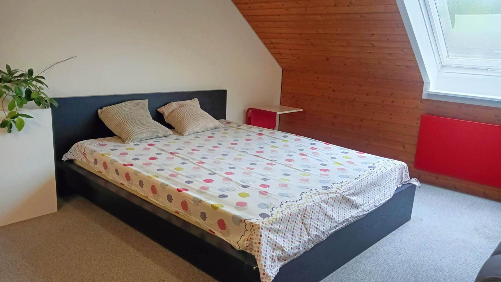 Big Cozy Entire Family Appartment Hannover Luaran gambar